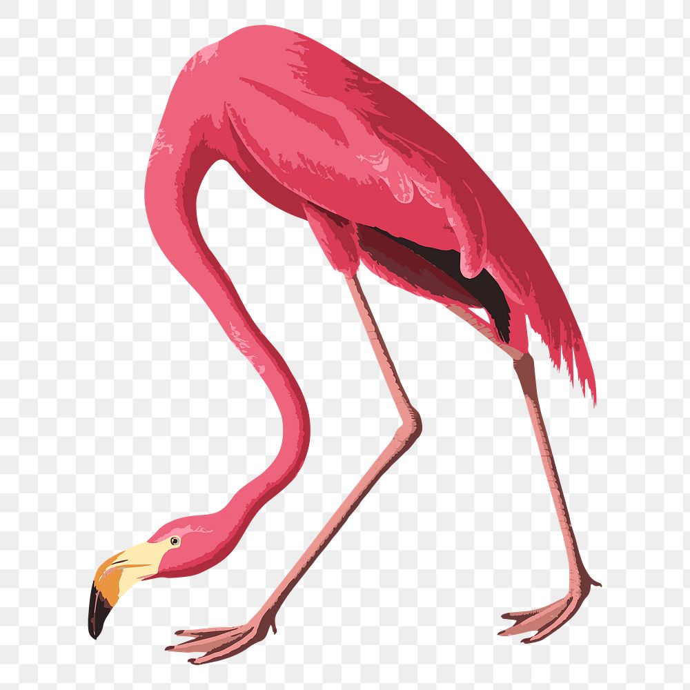 Vectorized pink flamingo bird sticker  design element