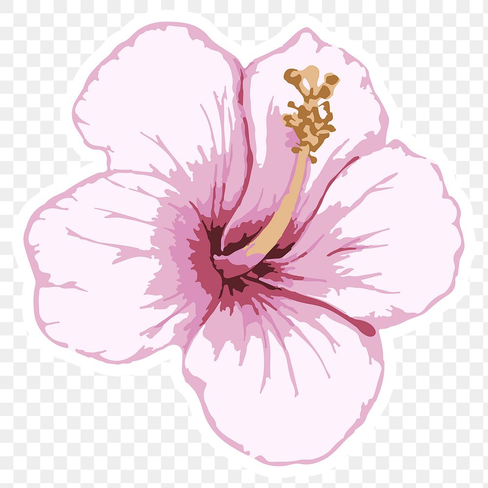 Vectorized pink hibiscus flower sticker with a white border