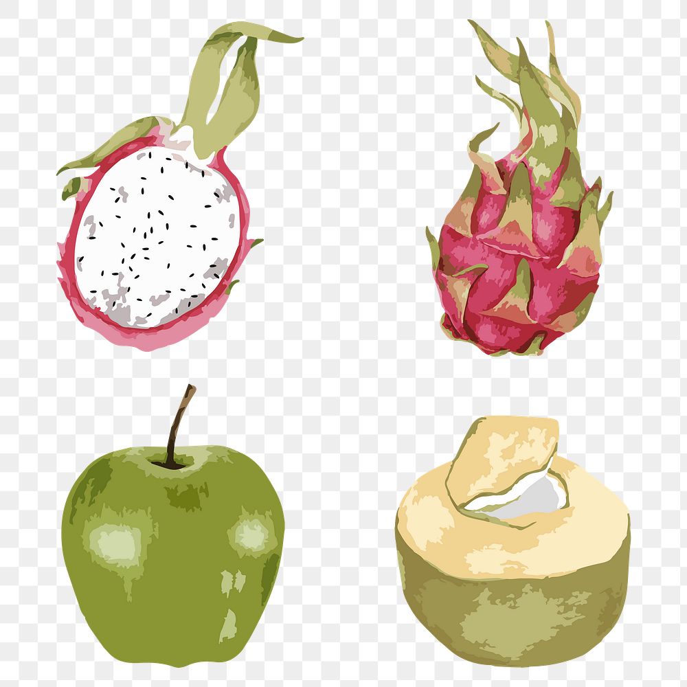 Vectorized fruit design element set