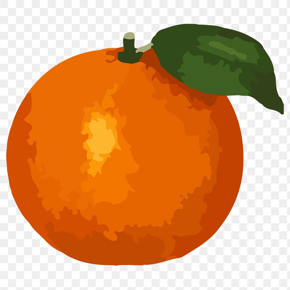 Hand drawn vectorized tangerine orange sticker design element