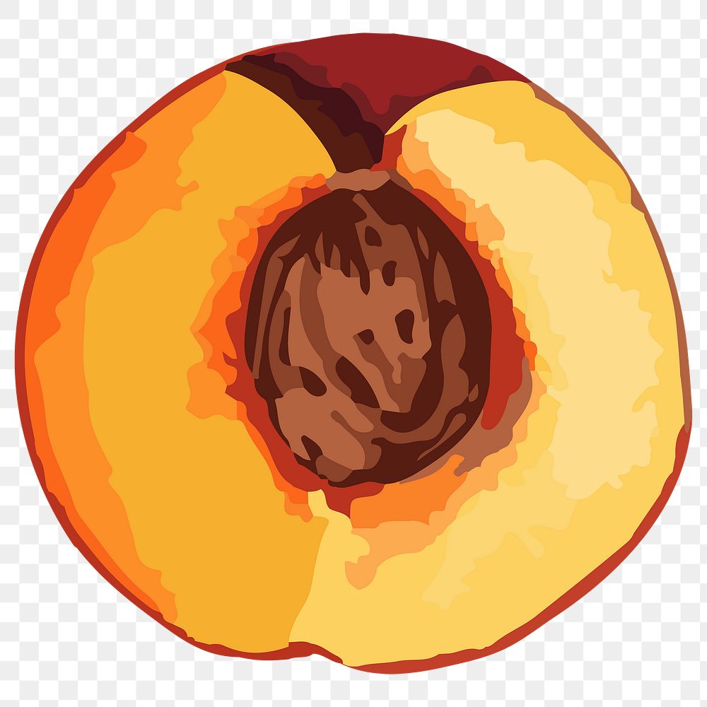 Hand drawn vectorized apricot sticker design element