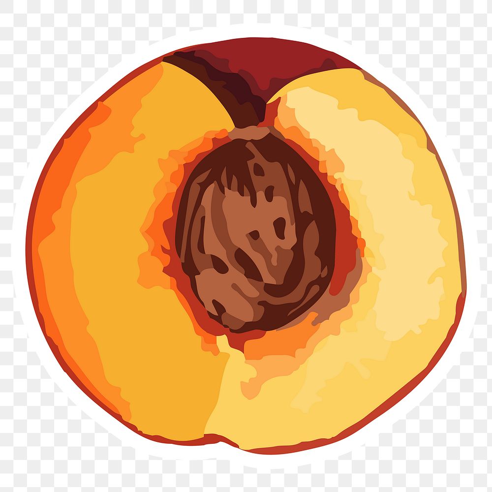 Hand drawn vectorized apricot sticker with white border design element