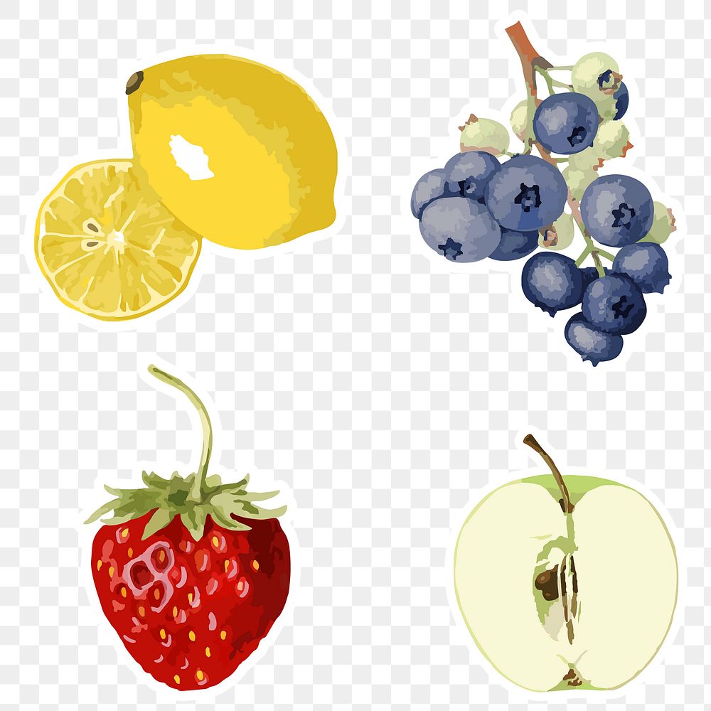 Vectorized tropical fruit sticker collection design elements 