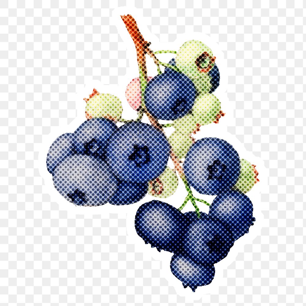 Halftone blueberry branch sticker overlay with white border
