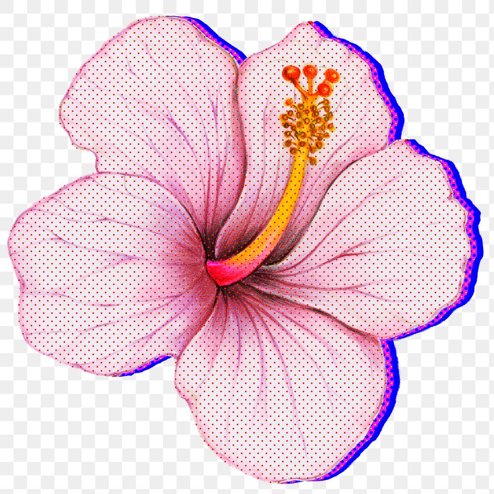 Halftone Hibiscus flower with neon outline sticker overlay