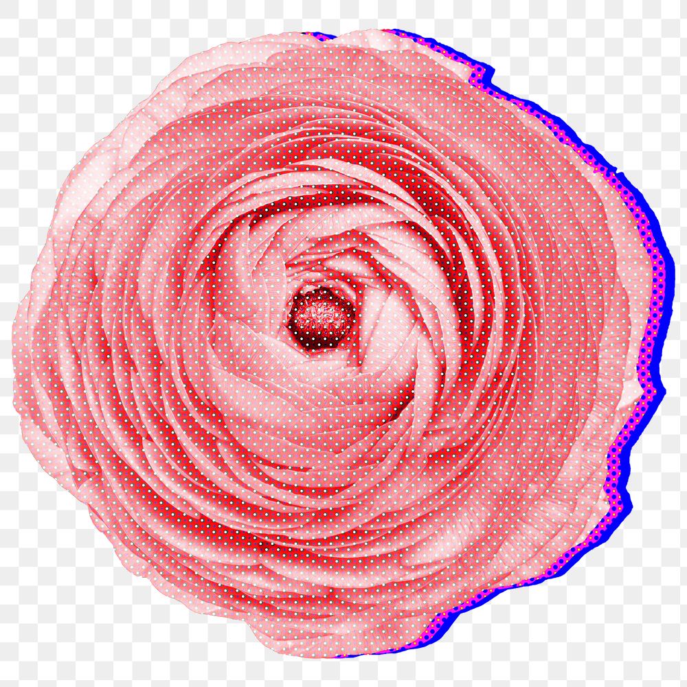Halftone pink ranunculus with neon outline sticker overlay