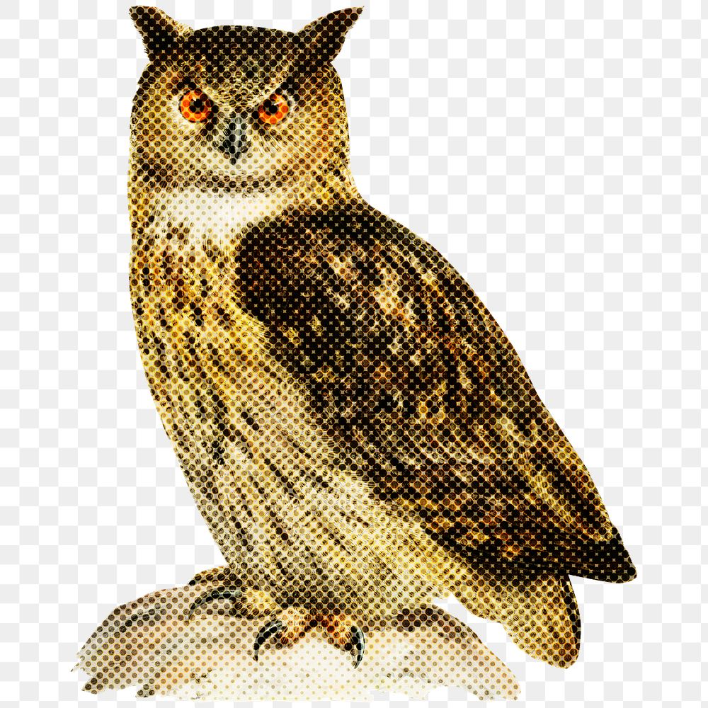 Hand drawn owl halftone style sticker overlay