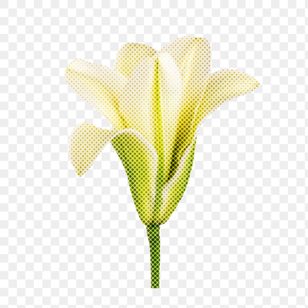 Halftone white lily flower sticker design element