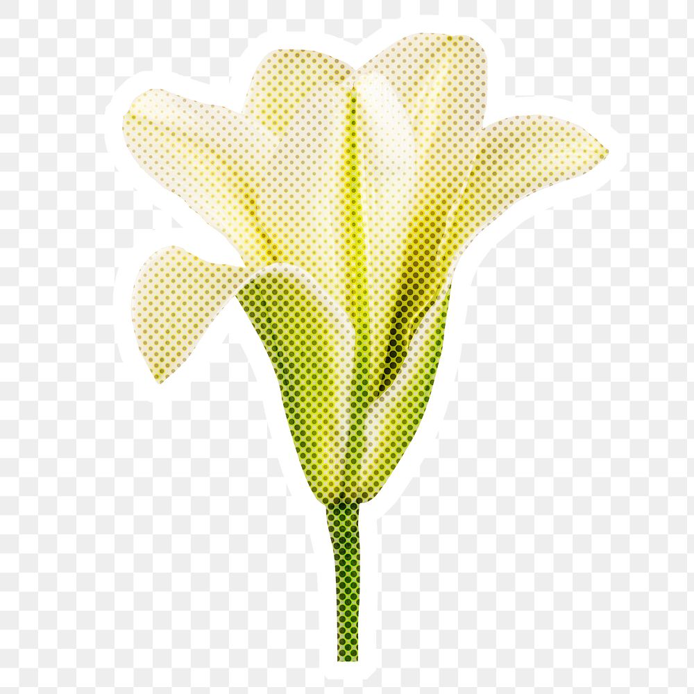 Halftone white lily flower sticker with a white border