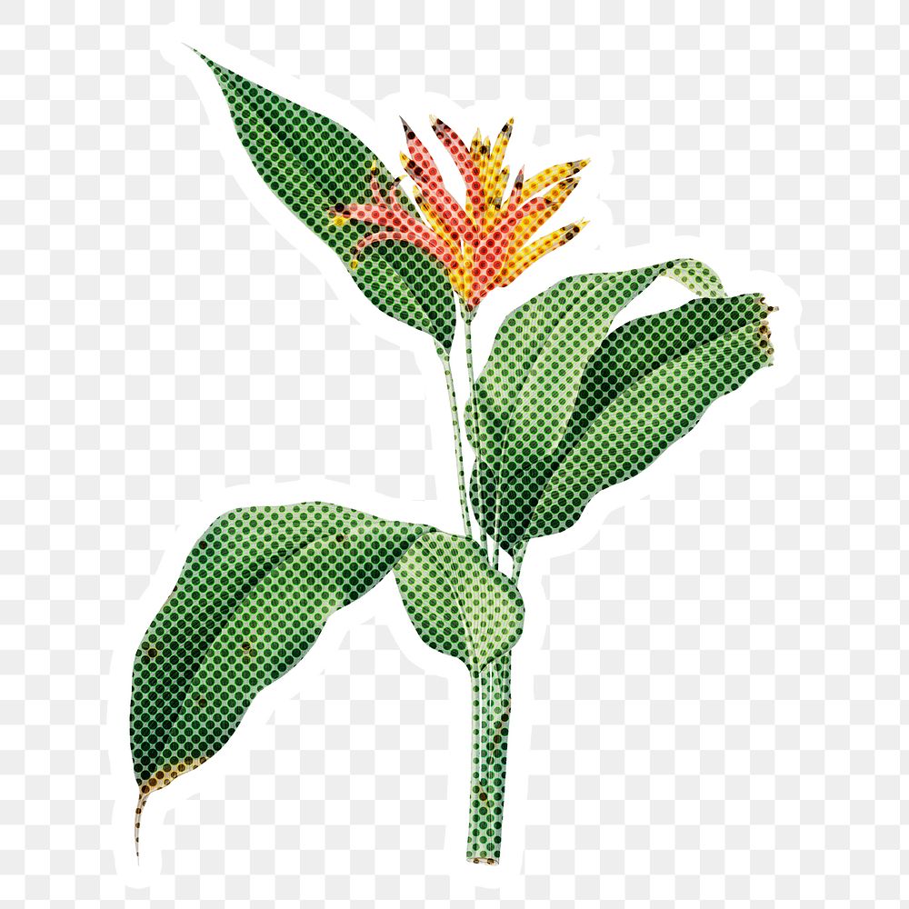Halftone Heliconia flower sticker with a white border