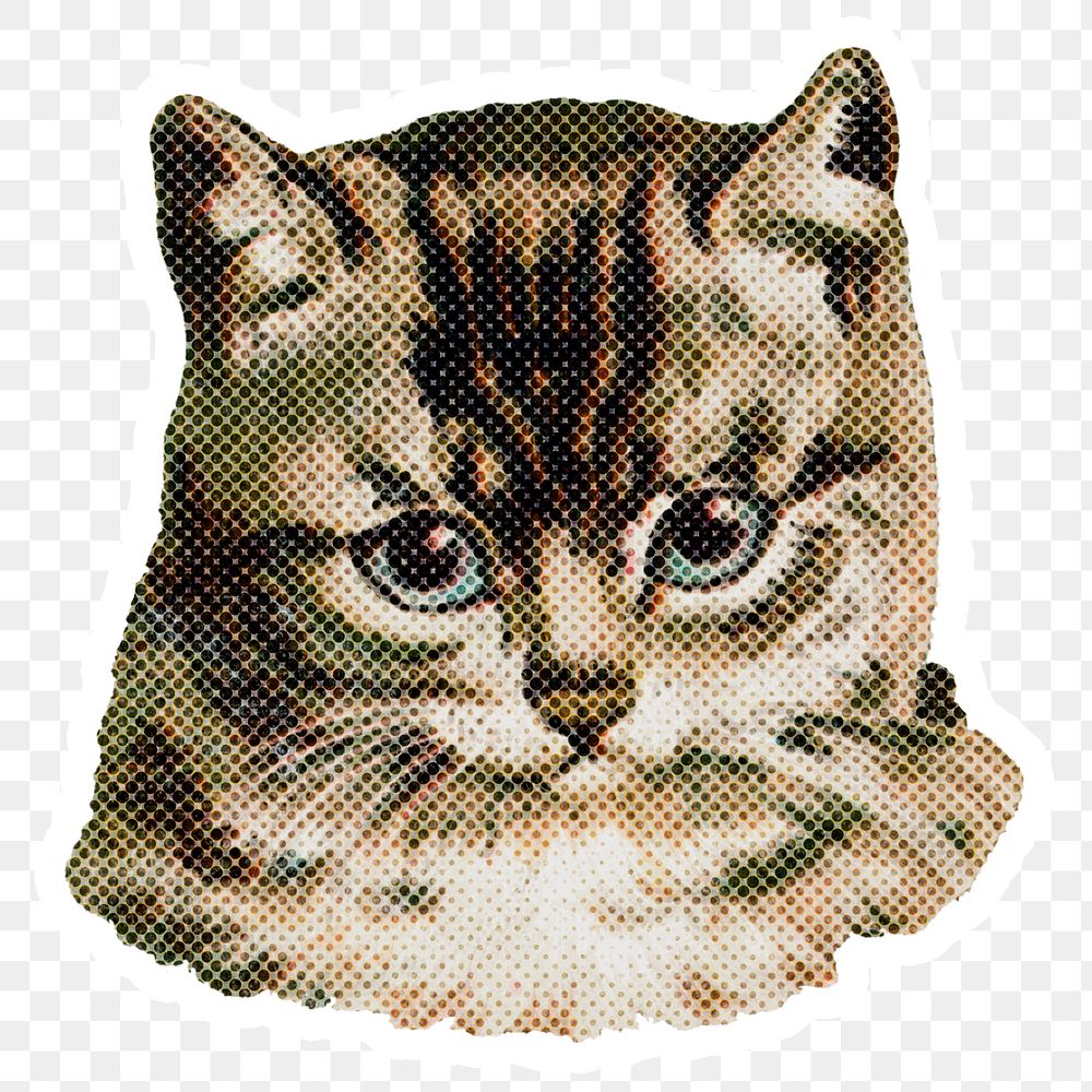 Halftone domestic cat sticker with a white border