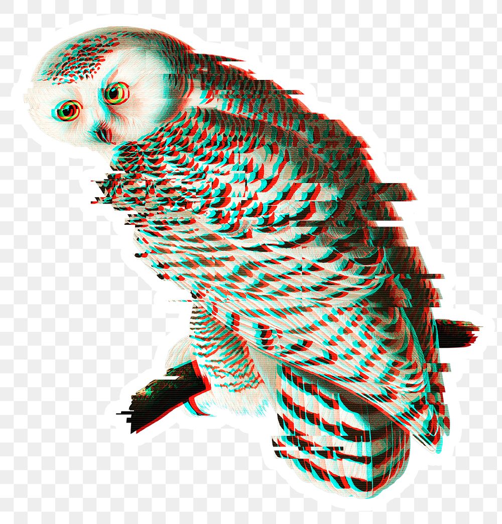 Owl with glitch effect sticker overlay