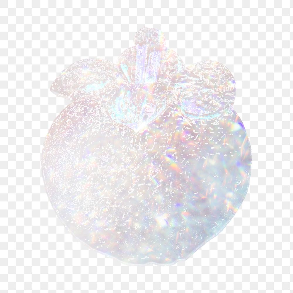 Sparkling silver mangosteen holographic style design element
