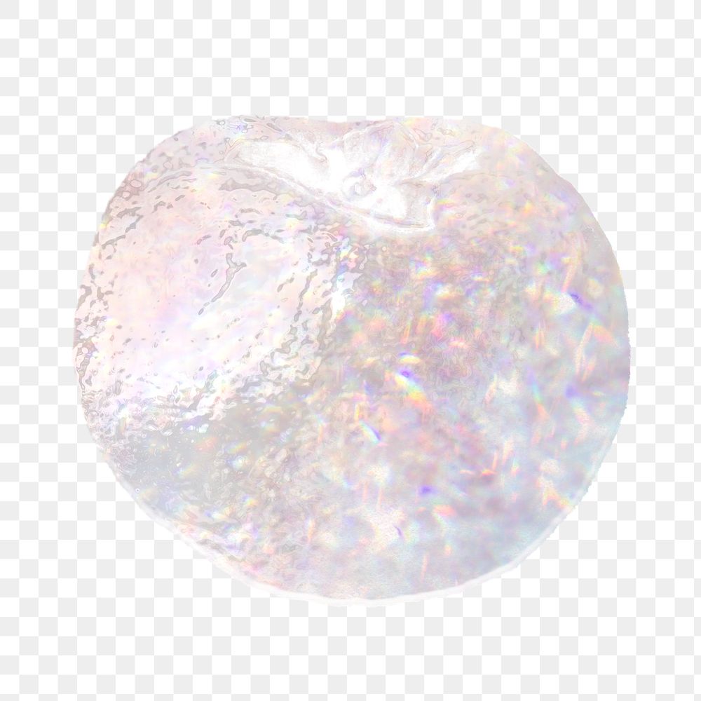 Sparkling silver persimmon holographic style design element