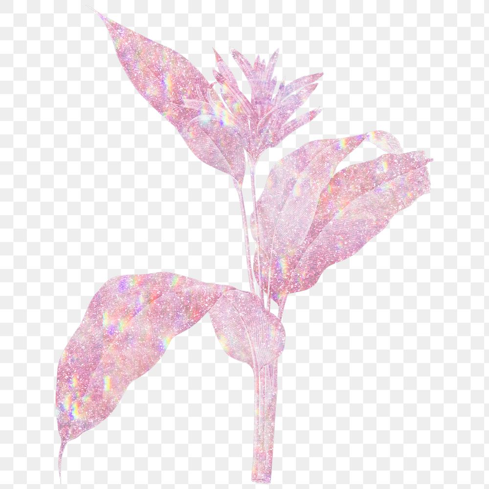 Pink holographic heliconia design element