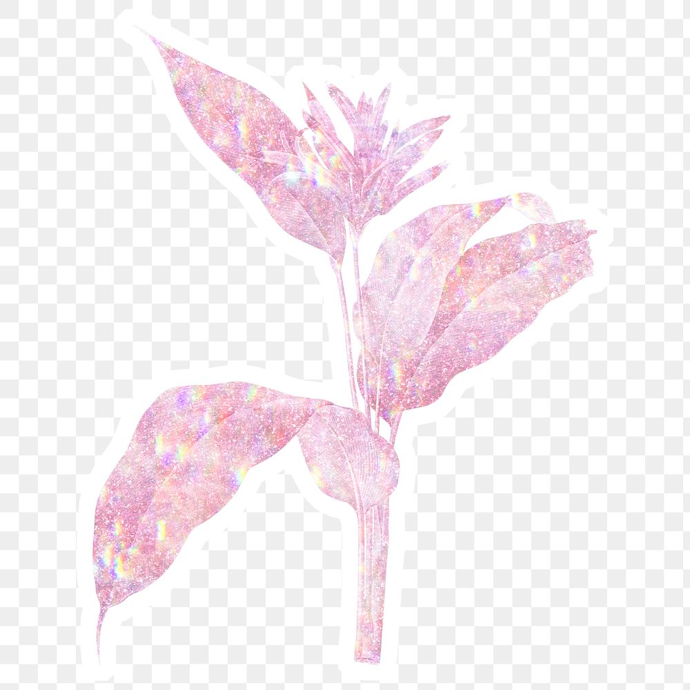 Pink holographic heliconia​​ sticker with a white border