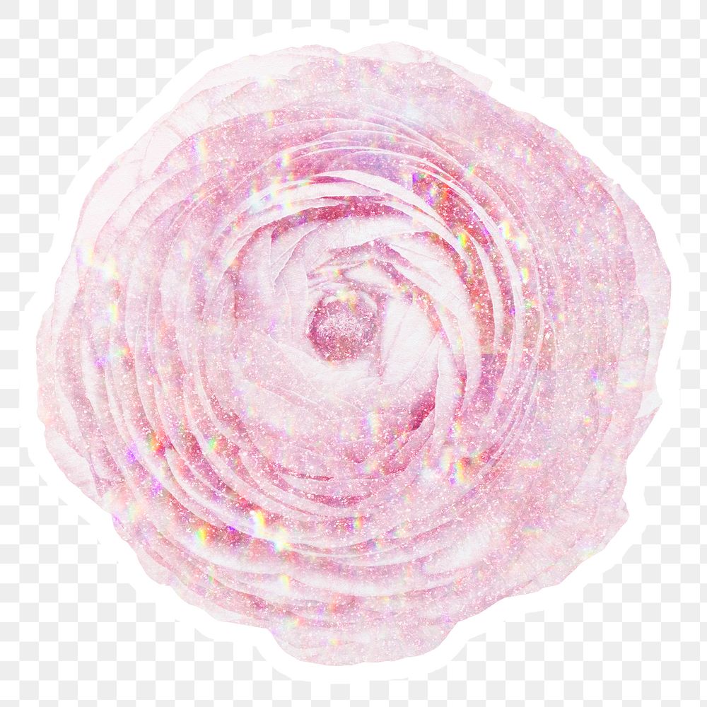 Pink holographic ranunculus sticker with a white border