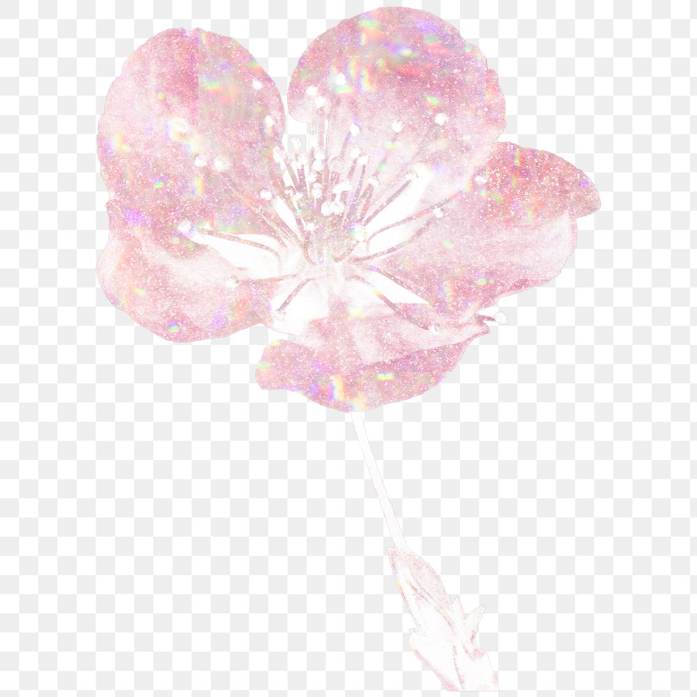 Pink holographic cherry blossom flower design element