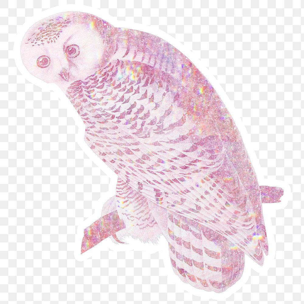 Pink holographic snowy owl sticker with a white border