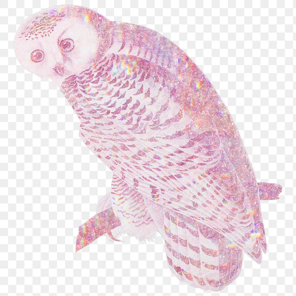 Pink holographic snowy owl design element