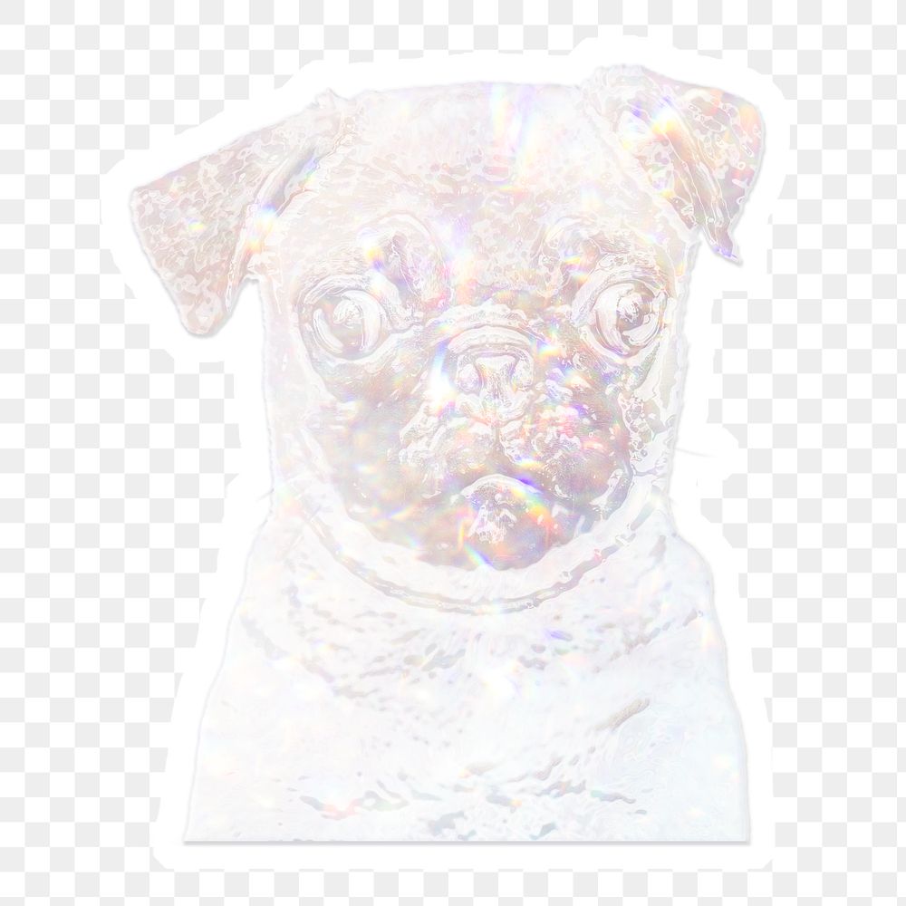 Silvery holographic pug puppy sticker with a white border