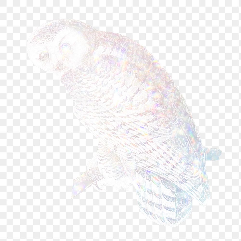 Silvery holographic snowy owl design element