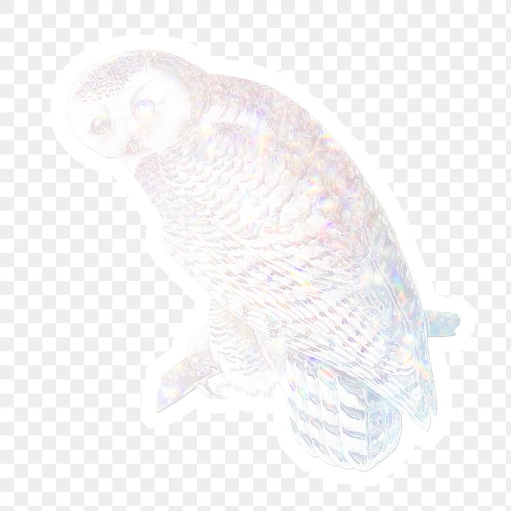 Silvery holographic snowy owl sticker with a white border