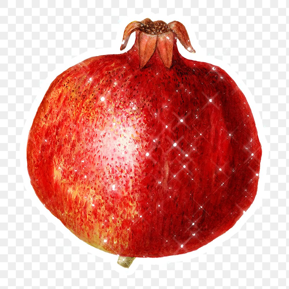 Hand drawn pomegranate sticker design element with white border