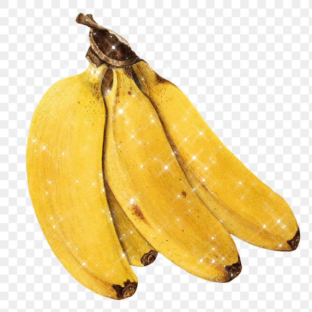 Hand drawn banana design element