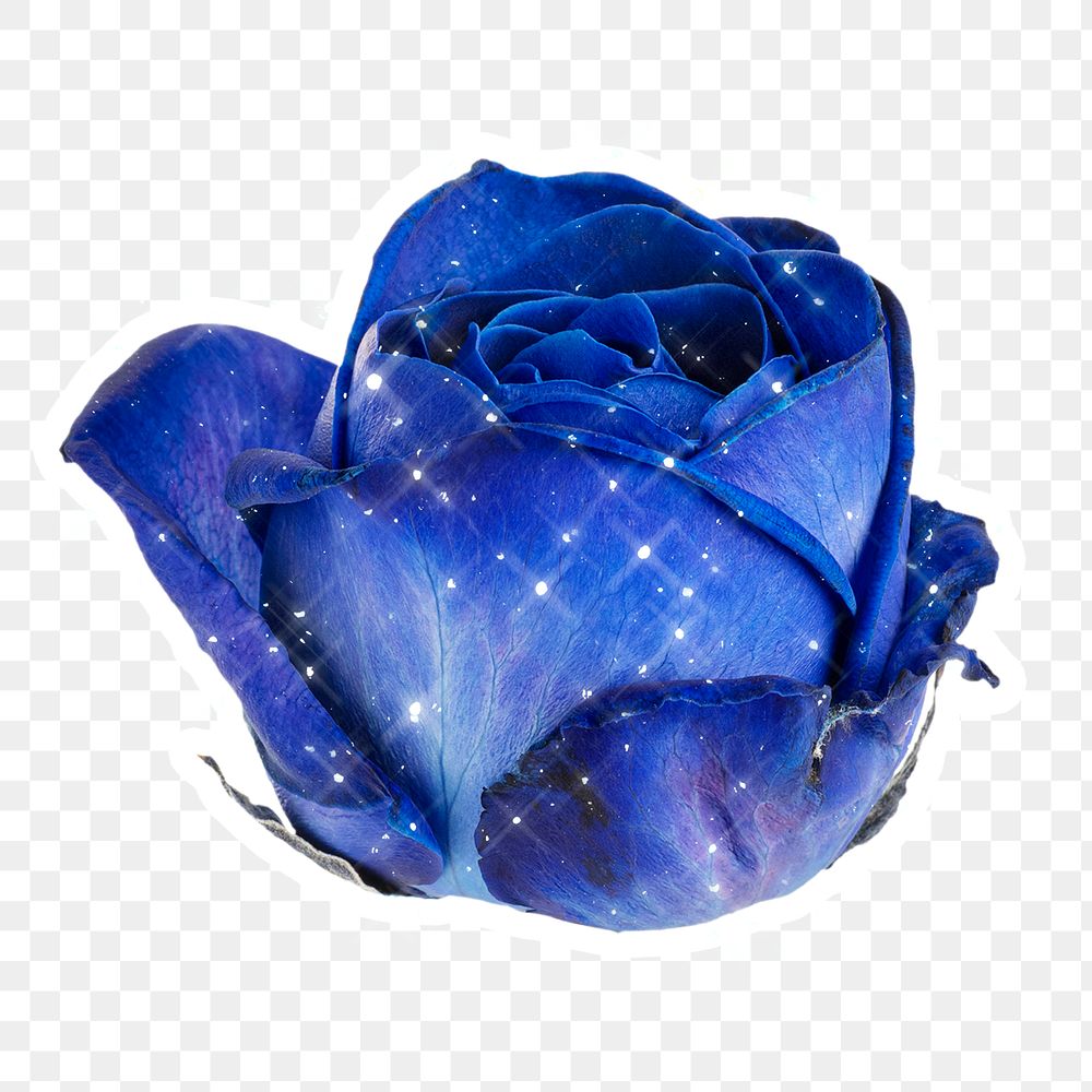 Sparkling blue rose flower sticker with white border