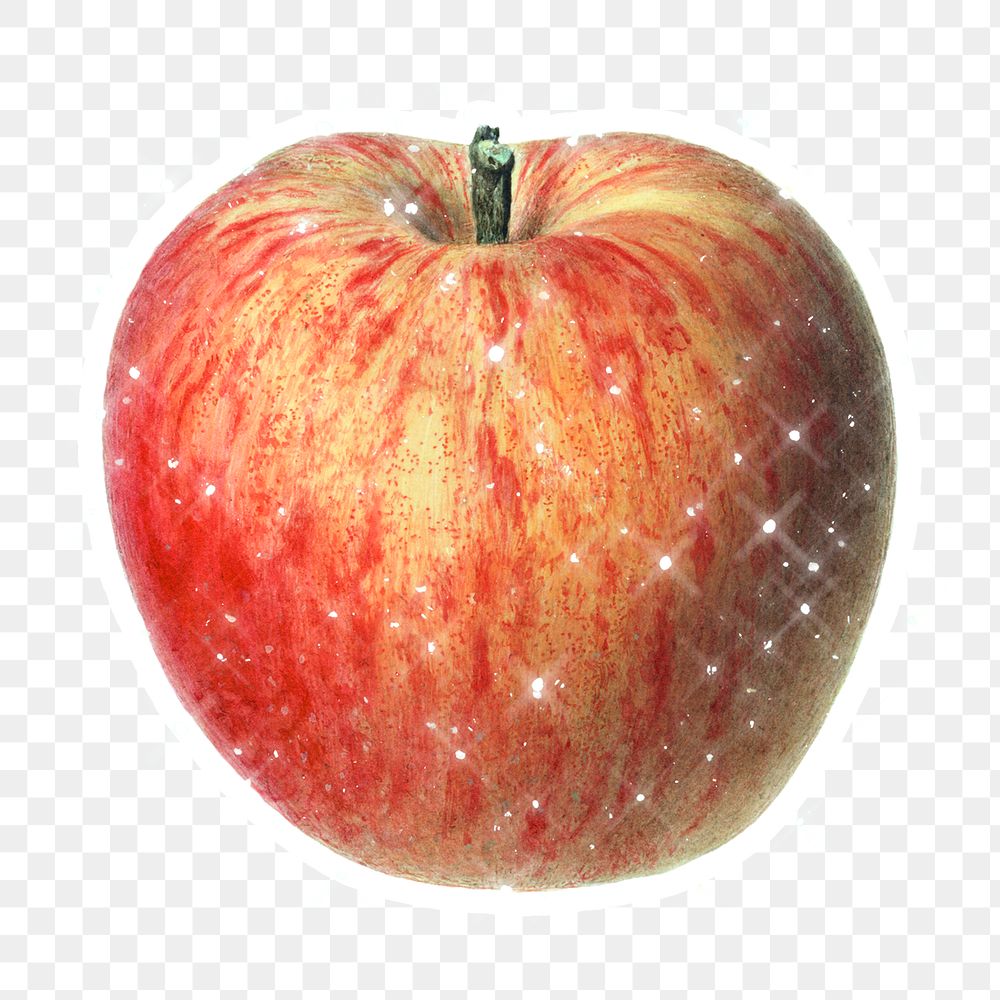 Hand drawn sparkling red apple fruit sticker with white border
