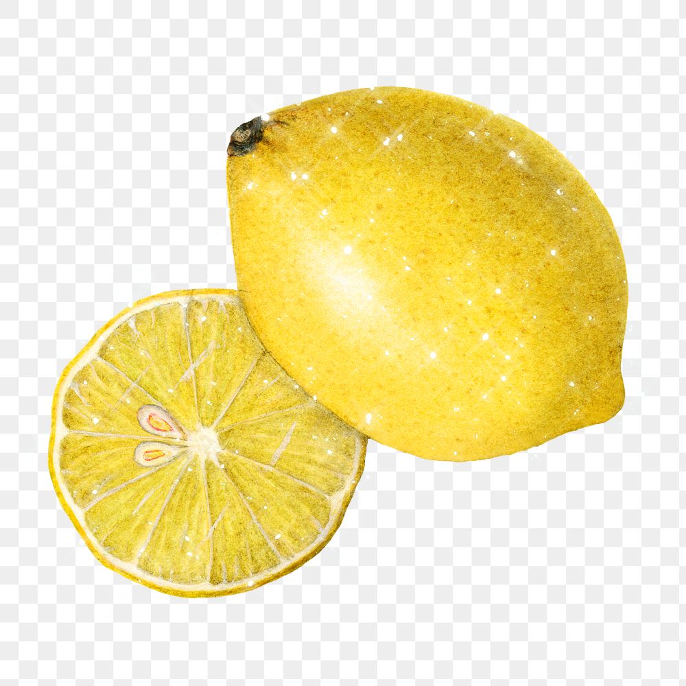 Hand drawn sparkling lemons design element
