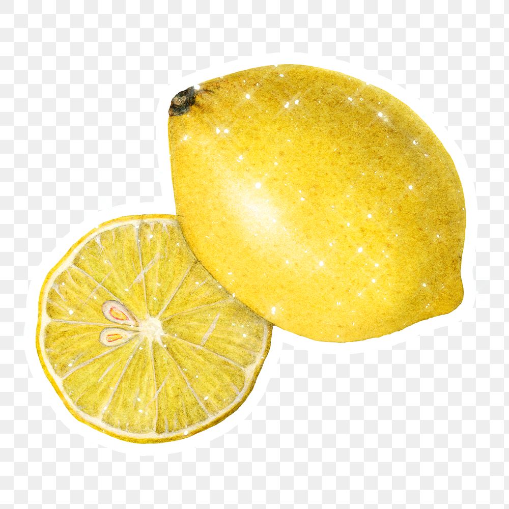 Hand drawn sparkling lemons sticker with white border