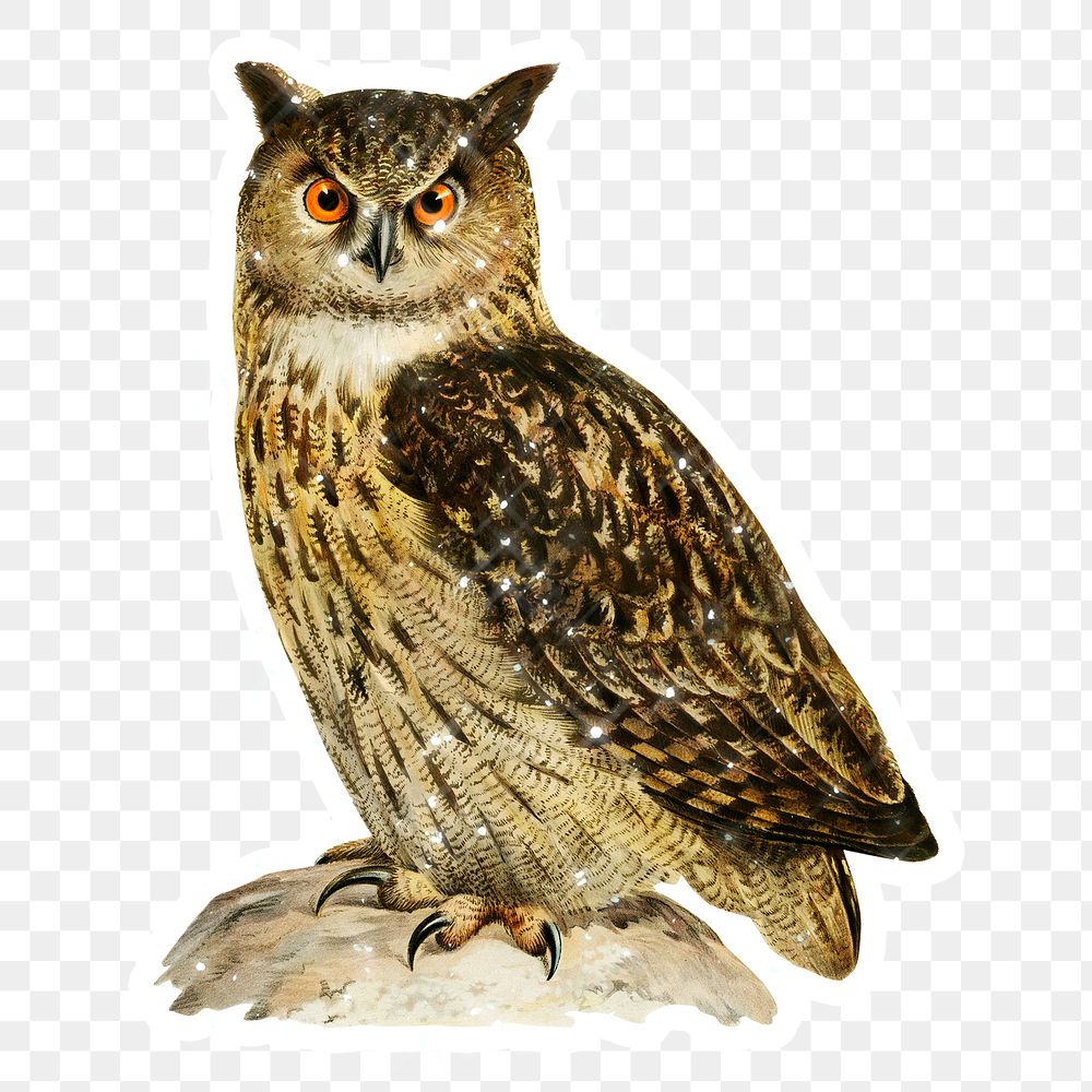 Hand drawn sparkling Eurasian eagle-owl sticker with white border