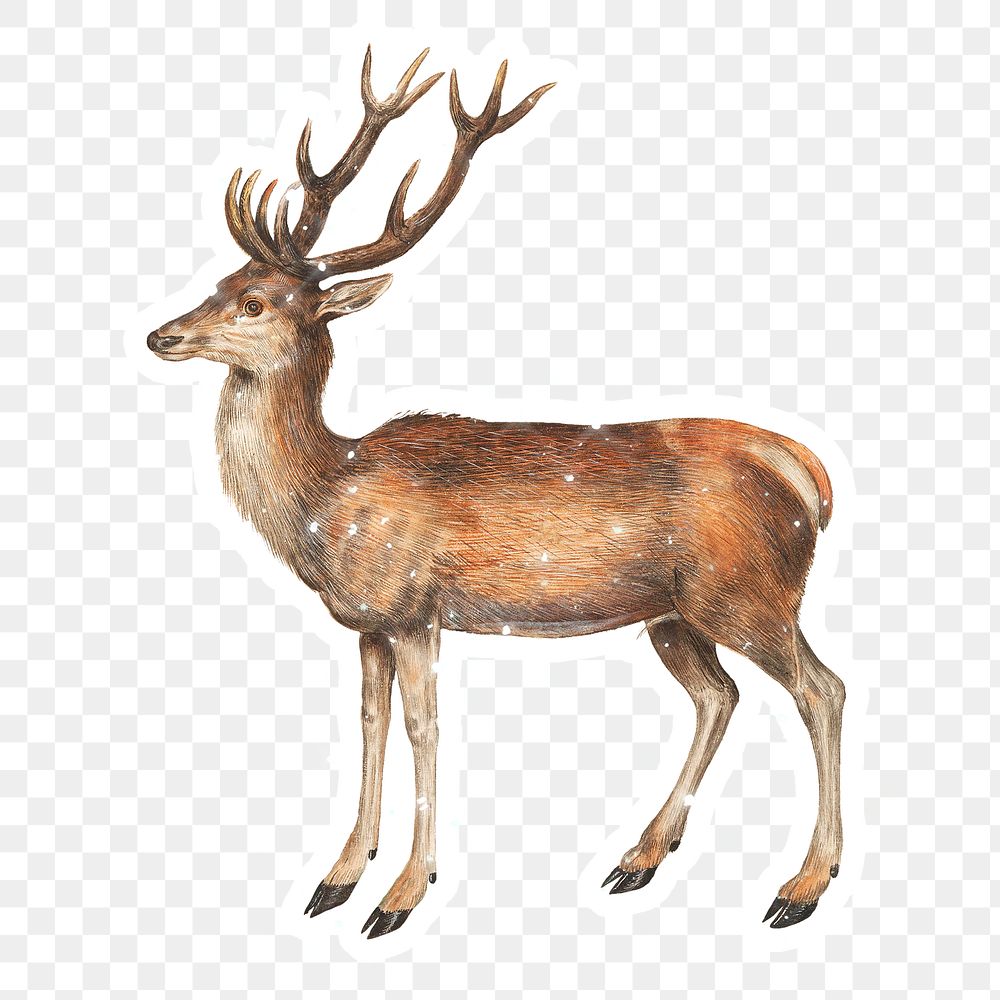 Hand drawn sparkling deer sticker with white border