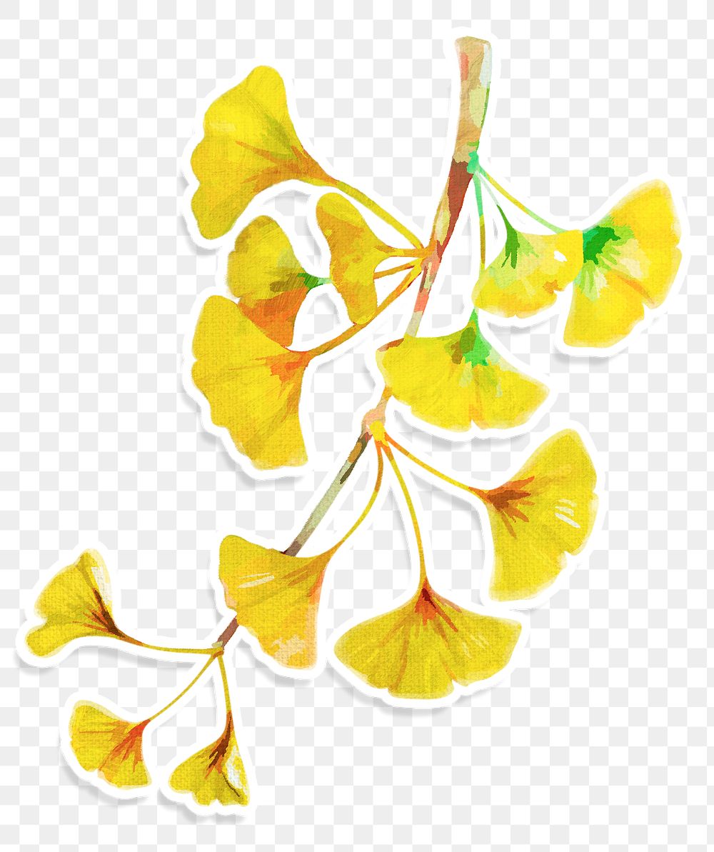 Branch of yellow ginkgo acrylic paint style sticker layer with white border