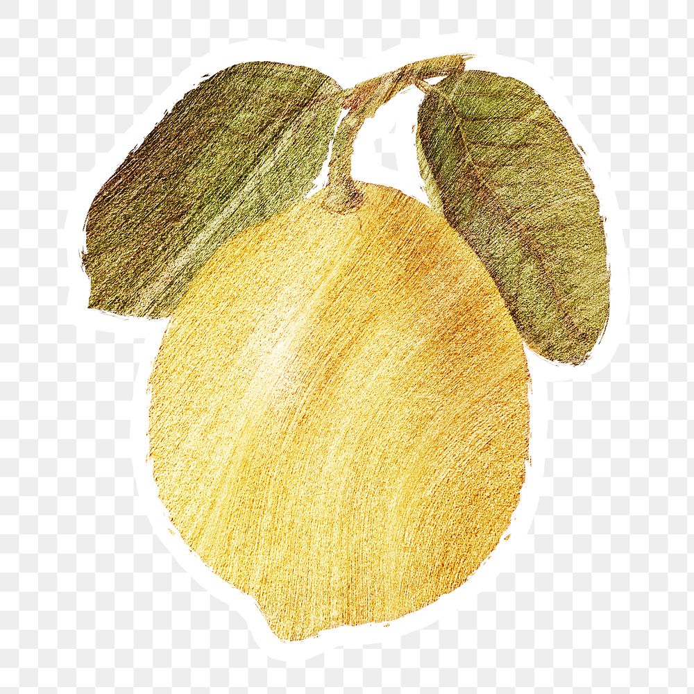 Hand drawn yellow lemon fruit brushstroke style sticker with a white border