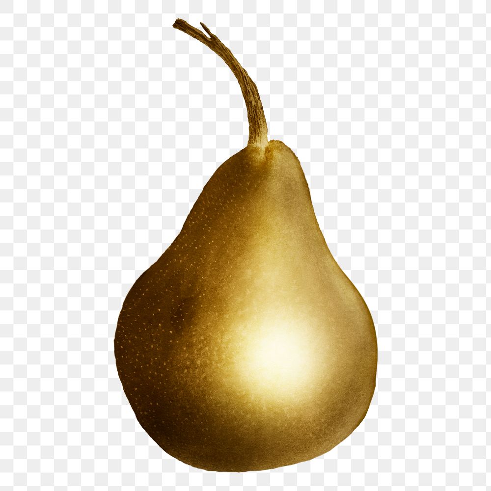 Gold pear fruit sticker design element