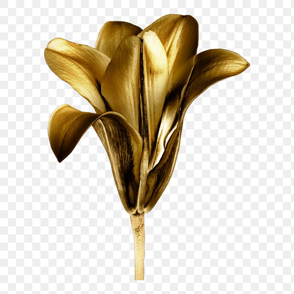 Gold lily flower sticker design element