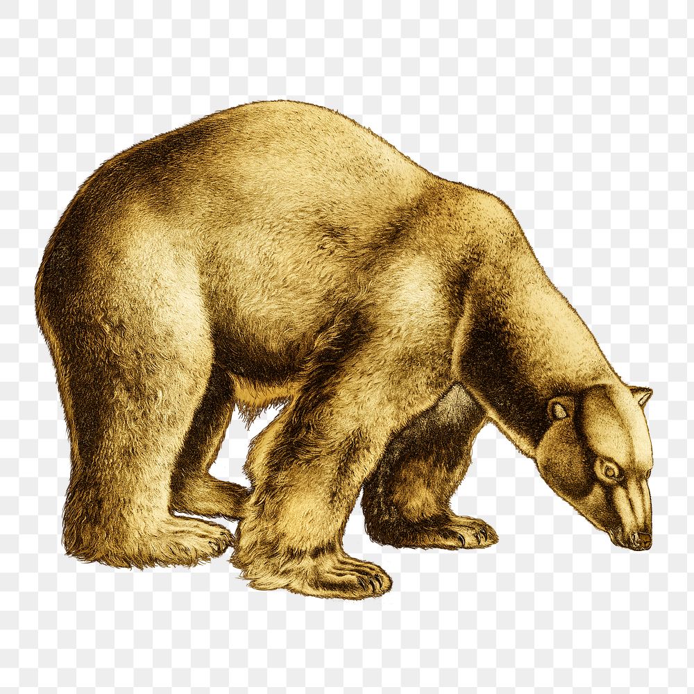 Gold polar bear sticker  design element