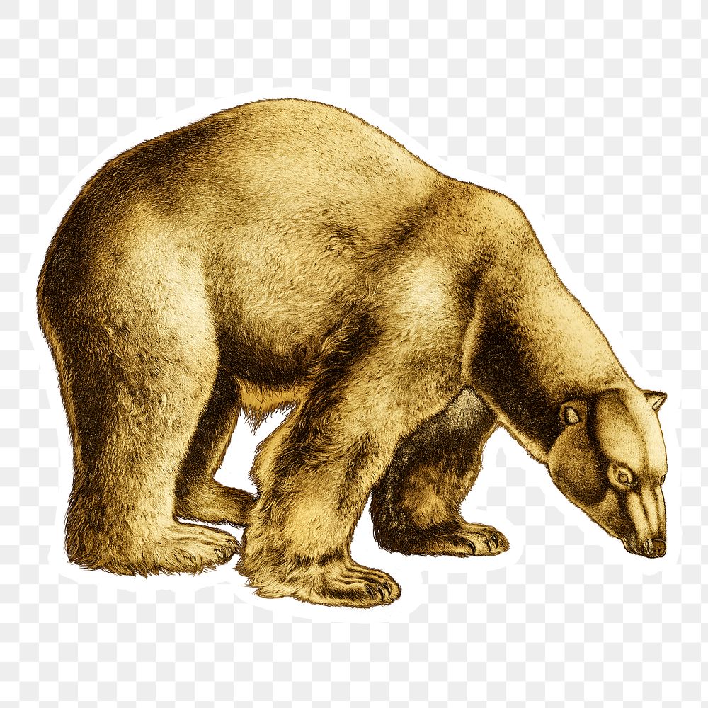 Gold polar bear sticker with a white border