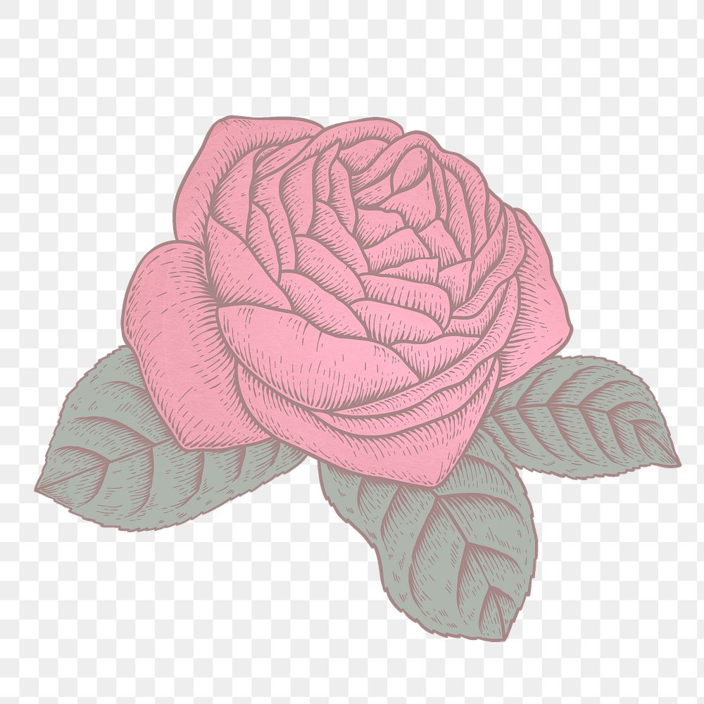 Red rose flower sticker overlay design element 