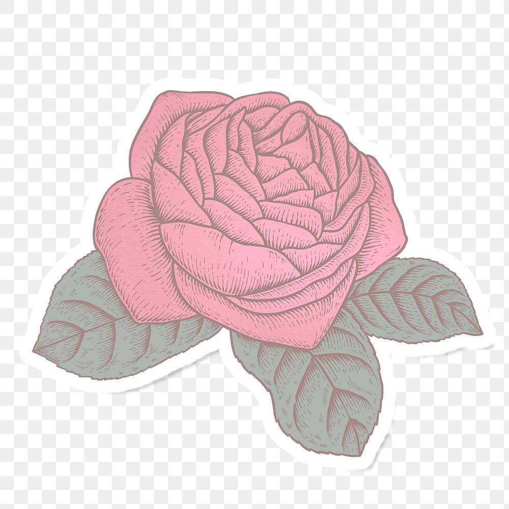 Red rose flower sticker overlay with a white border design element