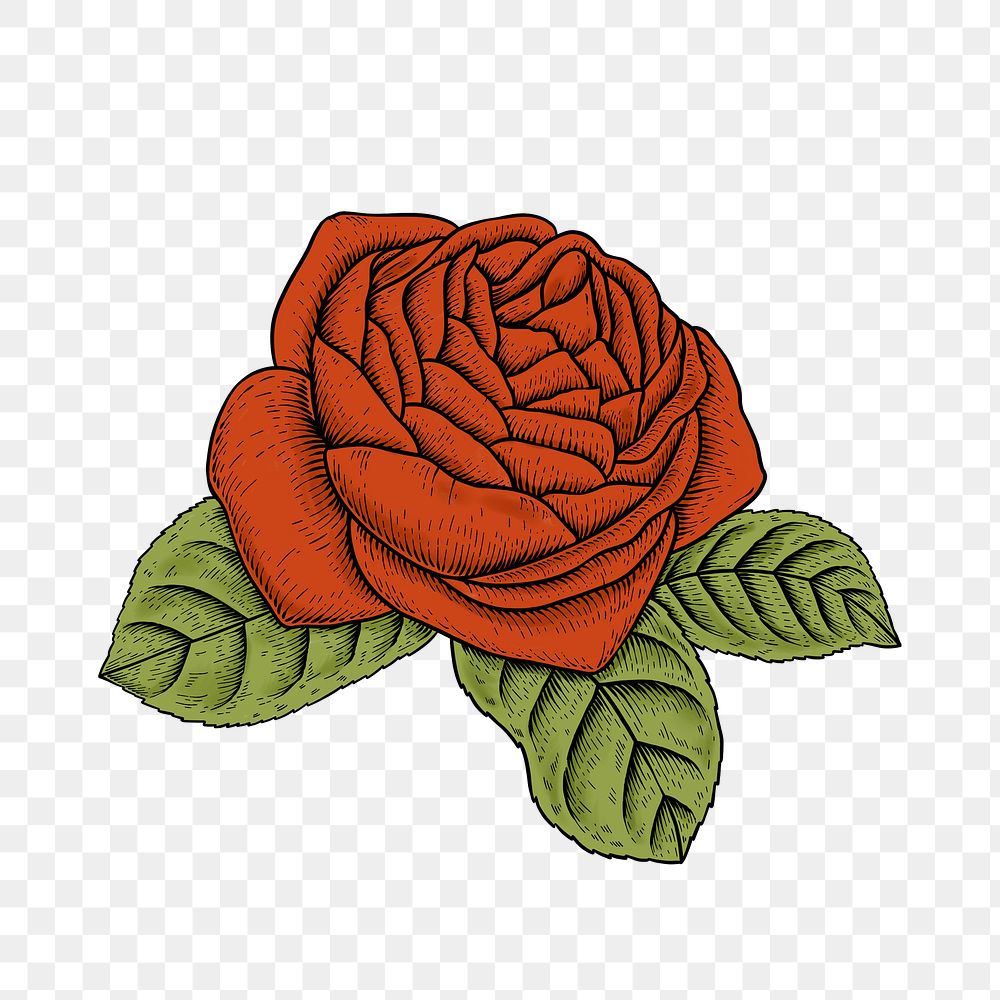 Orange rose flower sticker design element 
