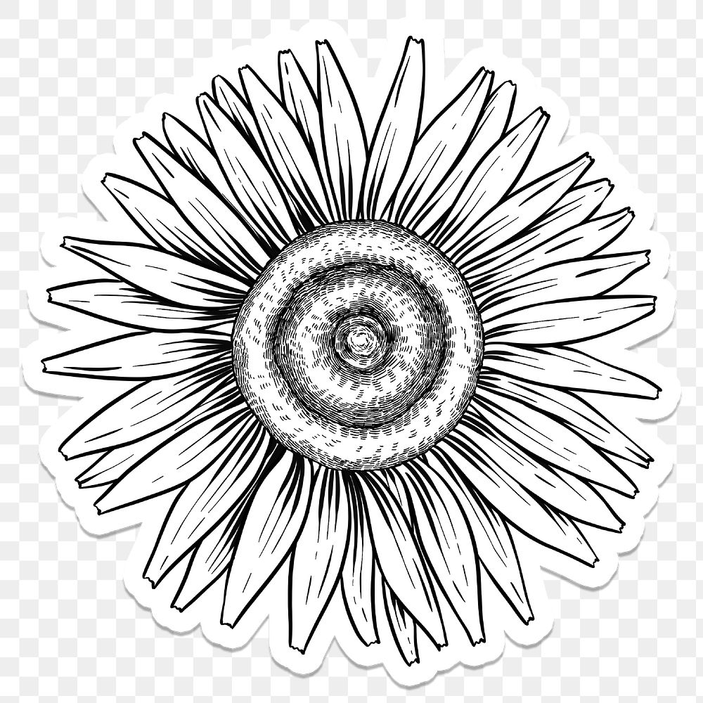 White sunflower sticker with a white border