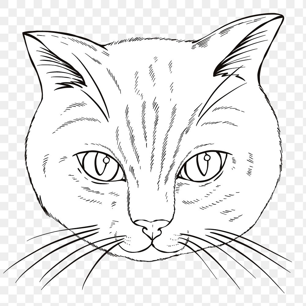 Hand drawn cat design element