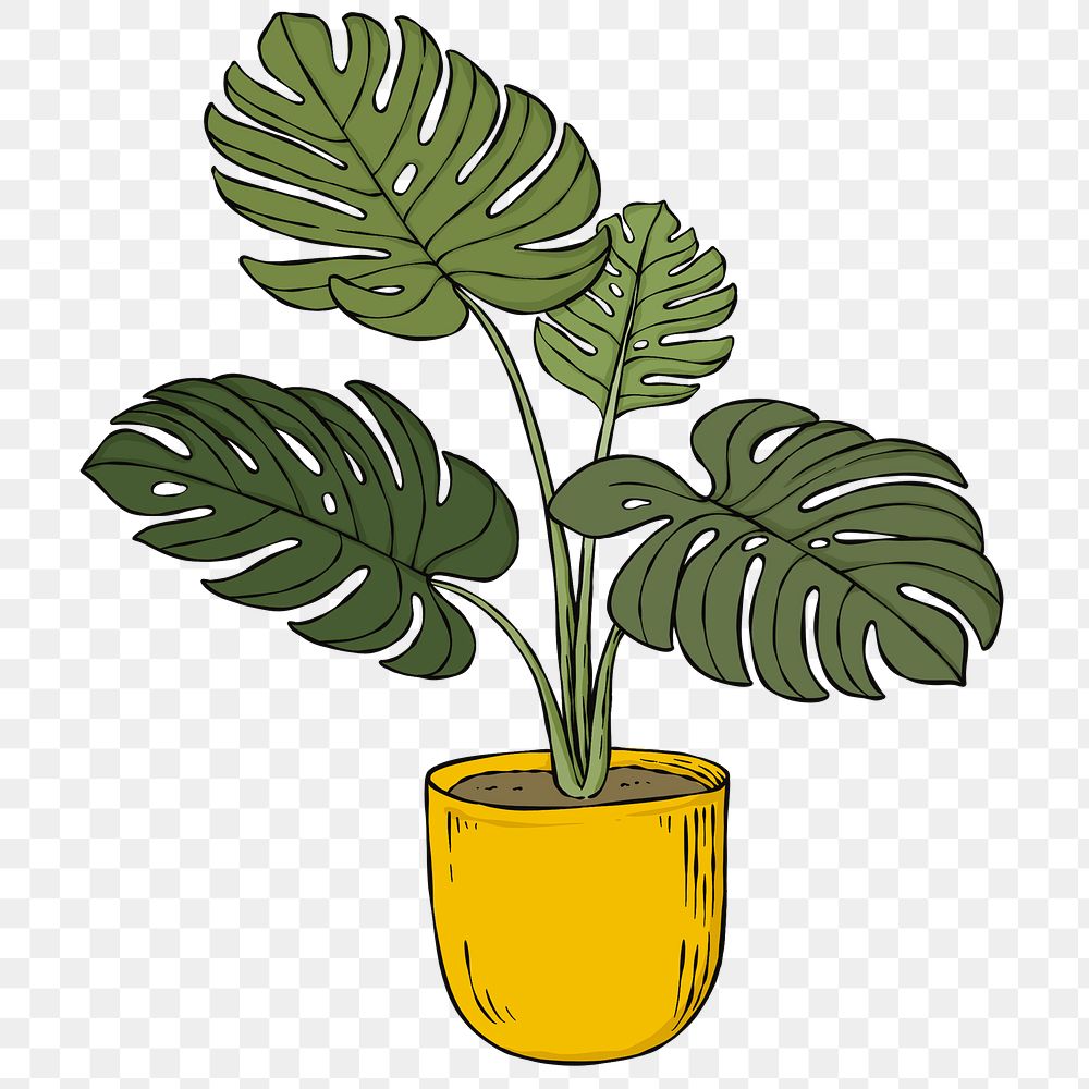 Retro colorful monstera plant png