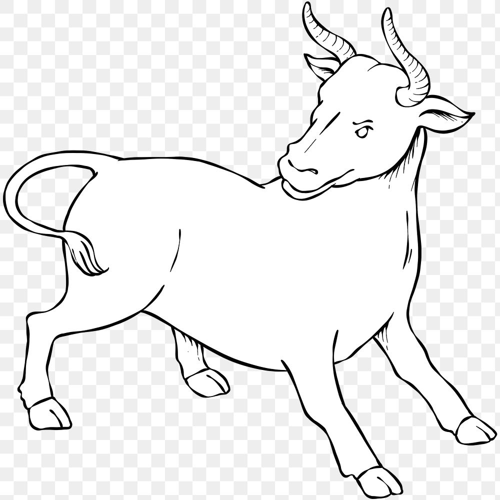 Hand drawn angry bull png