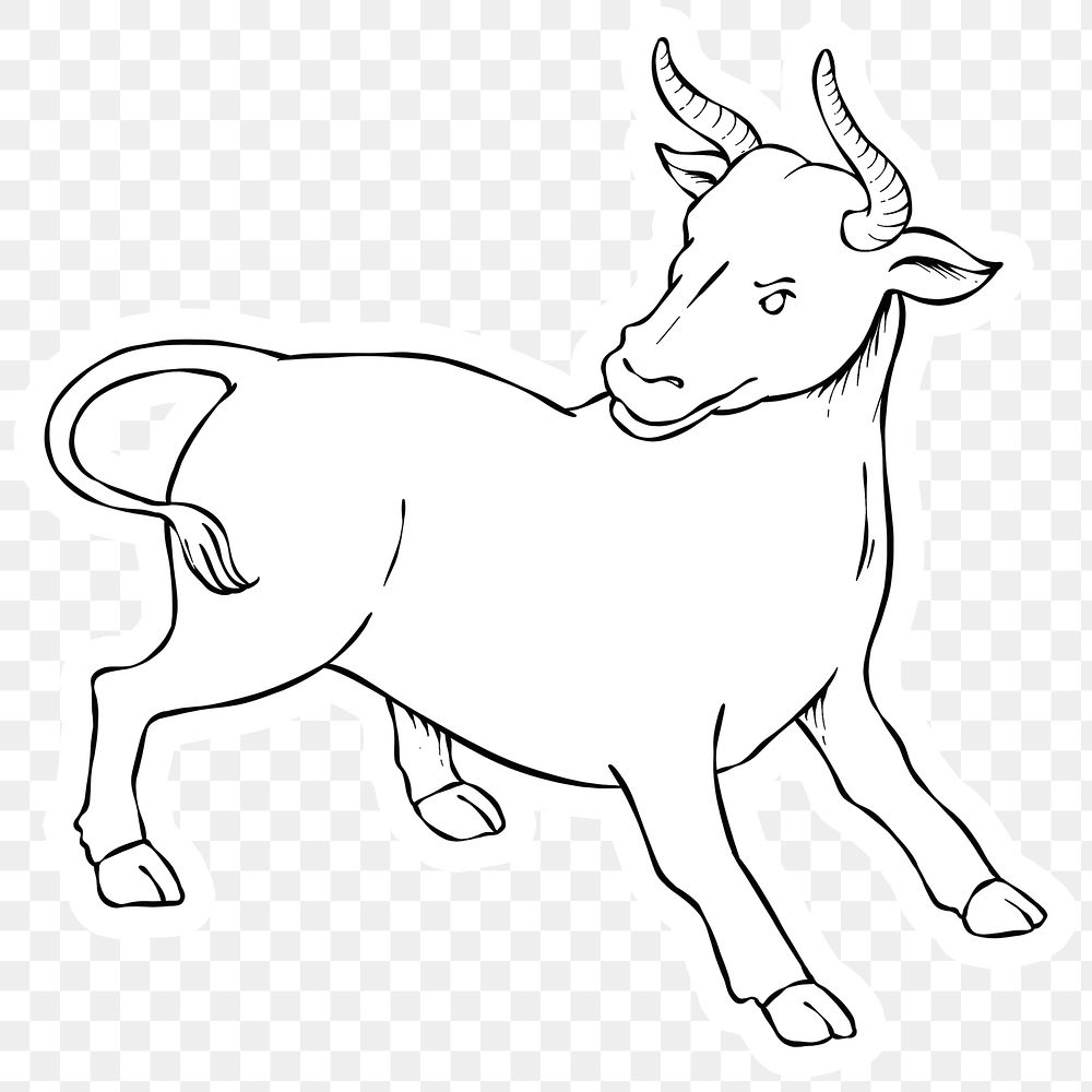 Sketched bull taurus png element