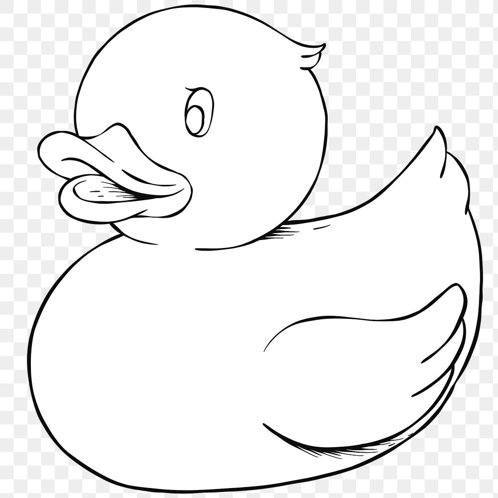 Hand drawn duck png